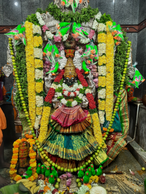 Dasara Navaratri Ammavari Brahmotsavalu